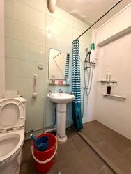 Blk 241 Hougang Heights (Hougang), HDB 3 Rooms #528068881